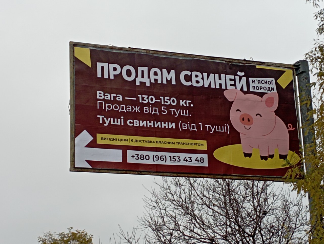 board