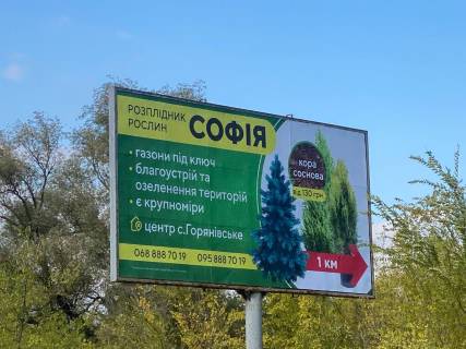 Білборд, Бігборд (Борд)  A у , , 6х3  Автодорога Из Обуховки перед виадуком на Горяновское/Кировское Фото 2