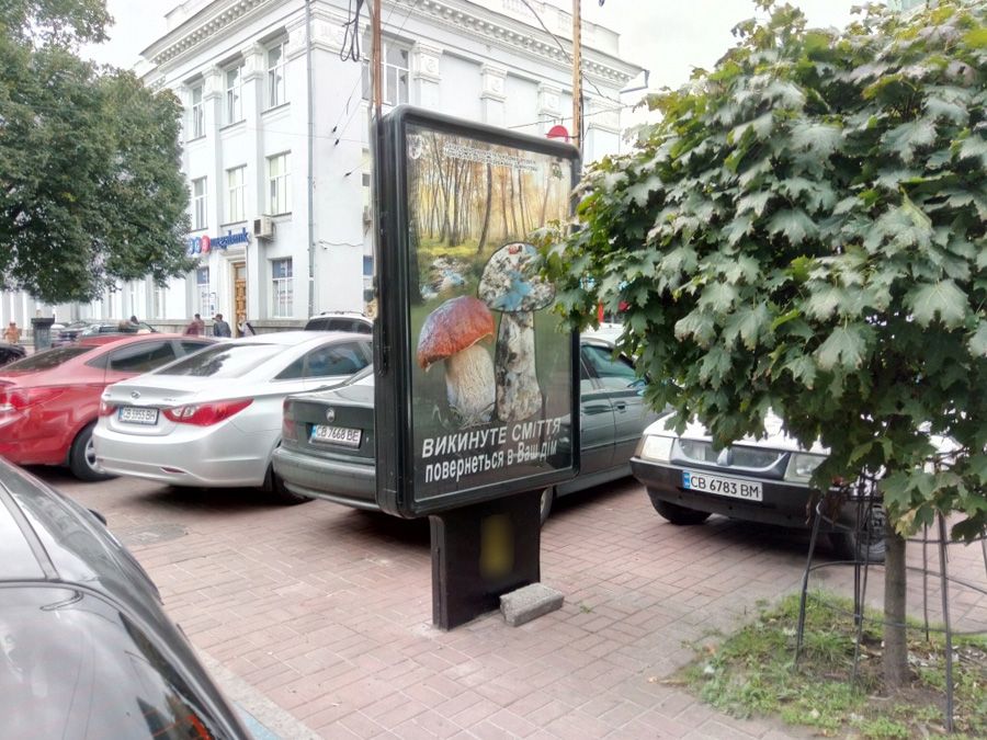 Ситилайт Чернигов,  проспект Миру, 30, Детский Мир (сторона А)