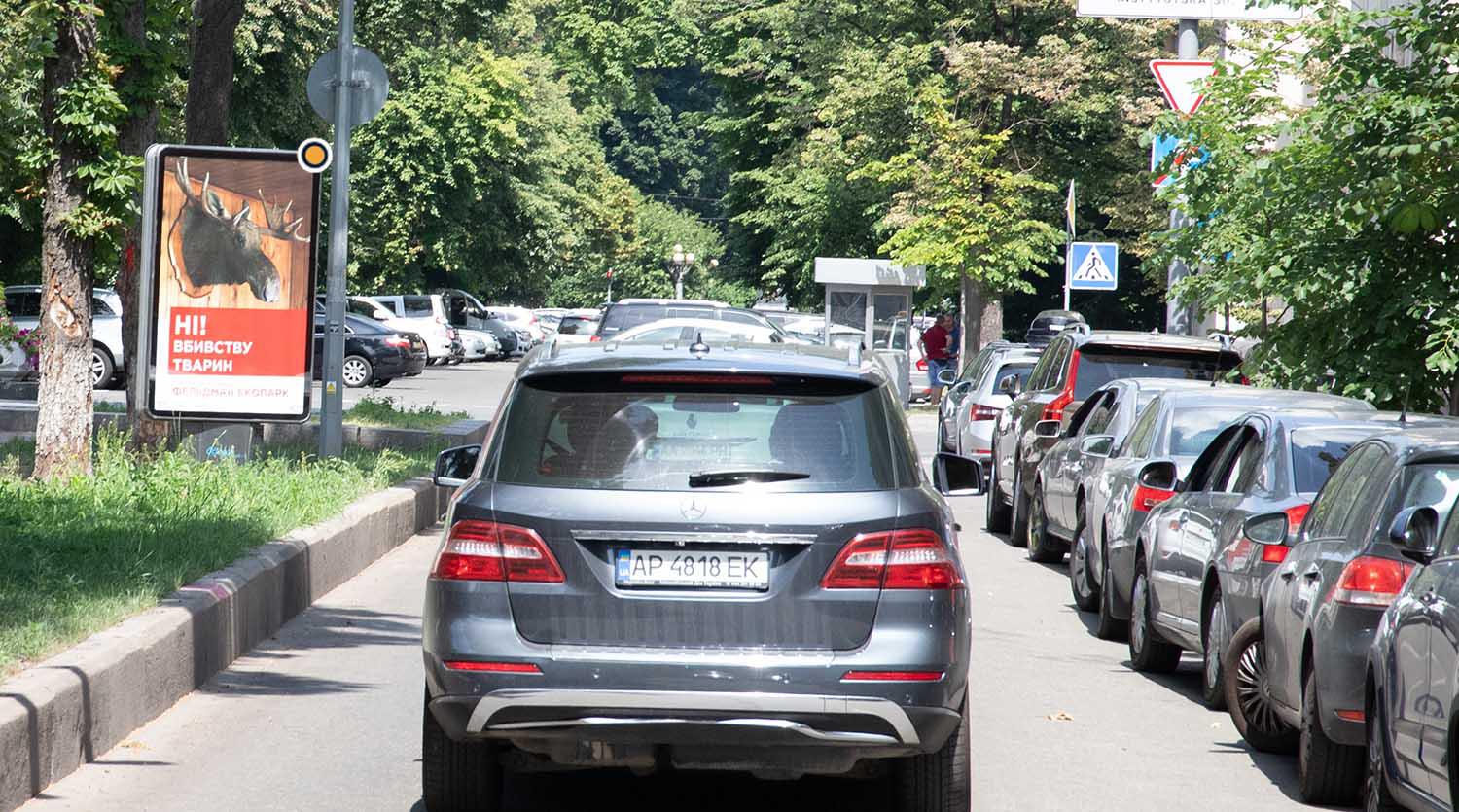 Ситилайт Киев,  Липська вул. роздільник