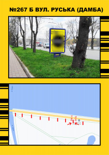 Ситилайт B в Тернополе, 1,2х1,8  Дамба (біла парку) фото 1