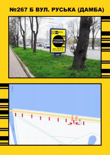 Сiтiлайт B у Тернополі, 1,2х1,8  Дамба (біла парку) Фото 1