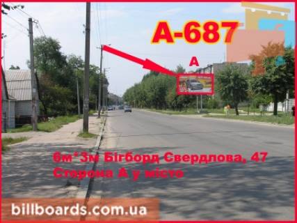 Билборд A в Бердичеве Винницкая, 47 (р Детский Мир) фото 1