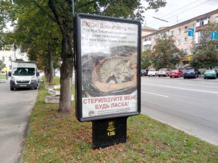 Сiтiлайт B у Чернігові проспект Победы, 83, маг Ананас (сторона Б) Фото 1