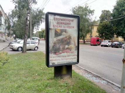 Ситилайт B в Чернигове, с41b  вул. Івана Мазепи (Щорса), 6, ПариМатч (сторона Б) фото 1