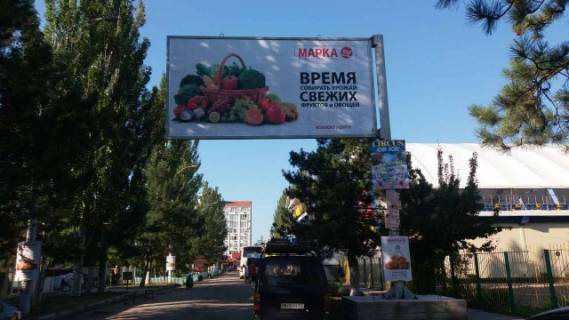 Білборд, Бігборд (Борд)  A у Коблеве, 6х3  Перед Дельфинарием Фото 1