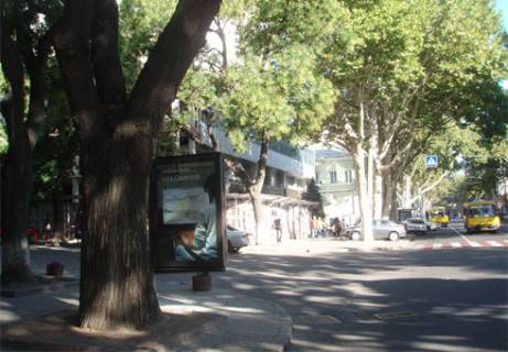 Ситилайт B в Одессе Ришельевская, 32 B фото 1