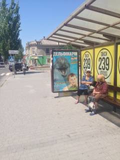 Сiтiлайт A у Бердянську, 1,2х1,8  Центральна вул. / Перемоги пр. (зупинка) Фото 1