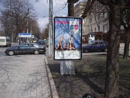 Ситилайт A в Львове Свободи пр-т - І.Підкови пл. фото 1