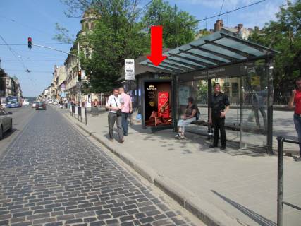 Сiтiлайт  у Львові, 1.8x1.2  Городоцька вул., 98, навпроти, в центр Фото 1