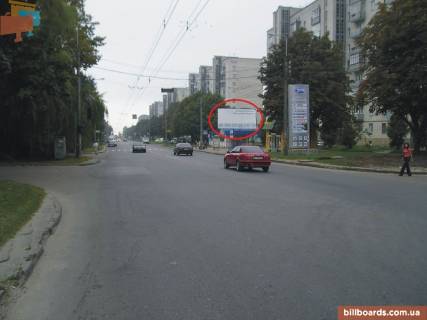 Билборд A в Тернополе Українки вул., 8 фото 1