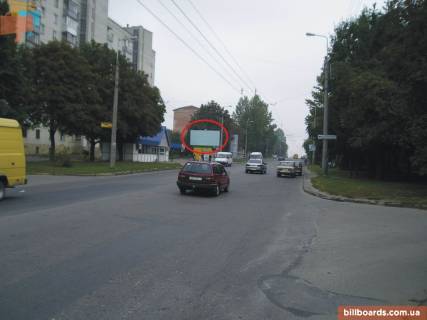 Билборд B в Тернополе Українки вул., 8 фото 1