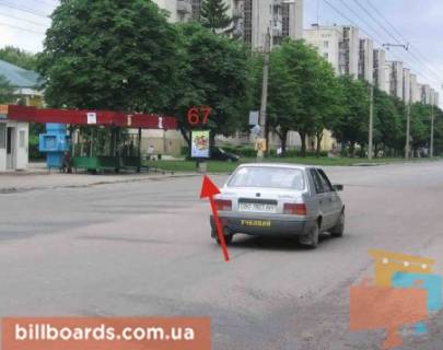 Ситилайт B в Тернополе Украинки ул., 16, возле остановки фото 1