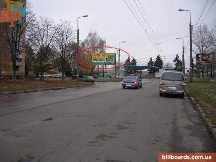Билборд B в Тернополе Протасевича вул. - Українки вул. фото 1