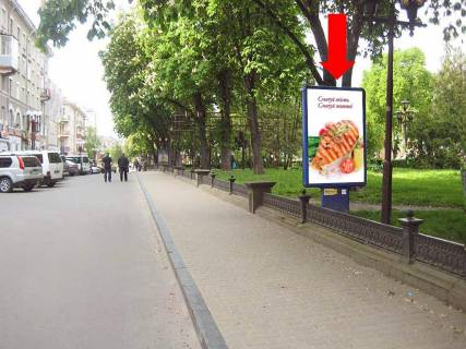 Сiтiлайт  у Тернополі, 1.8x1.2  Шевченка бул., біля ПУМБу Фото 1