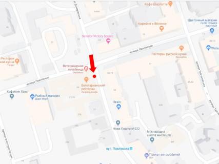 Ситилайт  в Киеве, 1.8x1.2  Дмитрівська вул., 39 - вул. Павловська, на світлофорі, в сторону Цирку схема