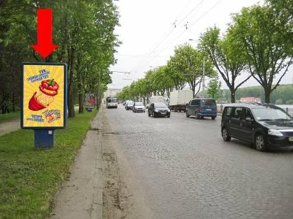 Ситилайт B в Тернополе, 1.8x1.2  Руська вул., біля парку "Топільче", дамба, з центру фото 1