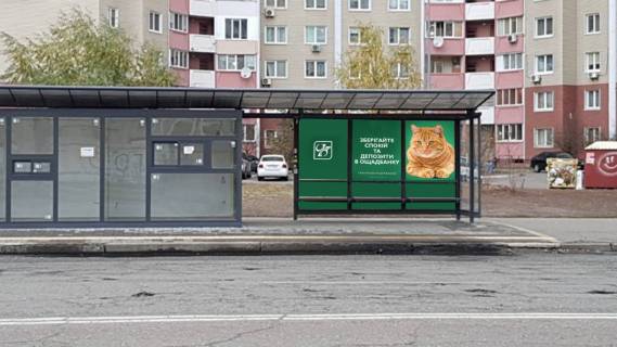 Нестандарт  у Києві Вул. Милославська Фото 1