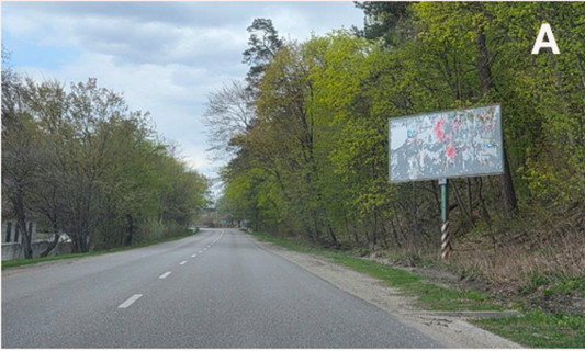 Білборд, Бігборд (Борд)  A у Кропивницький (Кіровоград) Траса Р10, с. Будище Фото 1