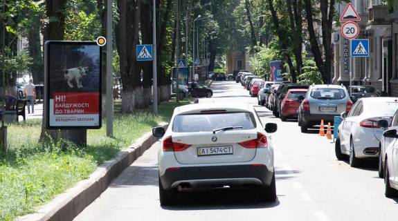 Сiтiлайт A у Києві, Сітілайт 1.2х1.8  Липська вул. роздільник Фото 1