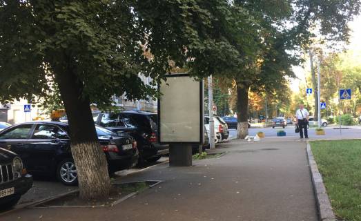 Ситилайт A в Киеве, 1,2х1,8  Липська вул.,/Інститутська, вул. фото 1