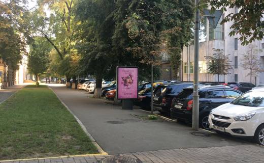 Сiтiлайт B у Києві, 1,2х1,8  Липська вул.,/Інститутська, вул. Фото 1