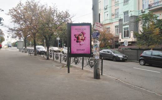 Сiтiлайт B у Києві, 1,2х1,8  Володимирська вул., 64 Фото 1