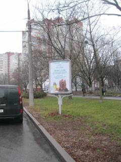 Ситилайт A в Чернигове, 1.2х1.8  м. Чернігів, вул. Рокоссовського, 16А, на узбіччі фото 1