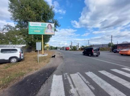 Билборд B в с. Вита-Почтовая, Board 3x6м  вул. Шевченка/ вул. Матросова, виїзд із Боярки в сторону с. Віта-Поштова фото 1