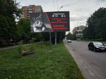 Билборд B в Львове, 6x3  Мазепи Гетьмана вул., 5, (Супермаркет "Сільпо", Ломбард "Перший", Банк Cashpoint, магазин автозапчастин ProfAuto Lviv, Автостоянка ), в напрямку Грінченка вул. фото 1