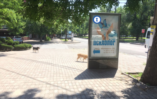 Ситискролл B в Николаеве, 1,25*1,86  пр. Центральний, 70 - ріг вул. Фалеевскої, БЦ, Vodafone, Pizza Celentano - ПЕРШИЙ фото 1