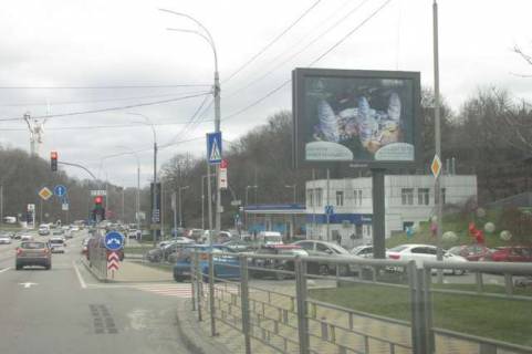 Скролер, Скрол A у Василівці, 2.3x3.14  Дружби народів бульв. - Болсунівську вул. (Сергія Струтинського вул.),  IQ-центр, ; №1 - 422764 Фото 1