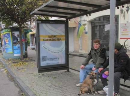 Сiтiлайт A у Одесі, 1.2x1.8  Тираспольська вул., 1 - Преображенська вул. (остановка) Фото 1