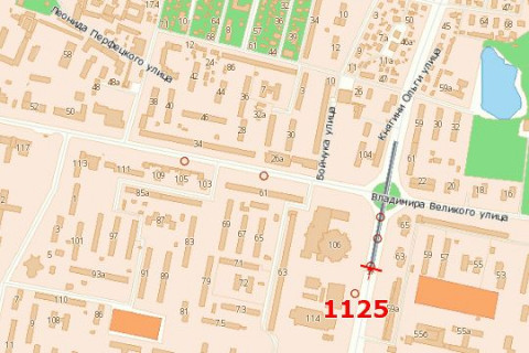 Білборд, Бігборд (Борд)  B у Василівці Княгині Ольги вул., 69 (в центр) схема