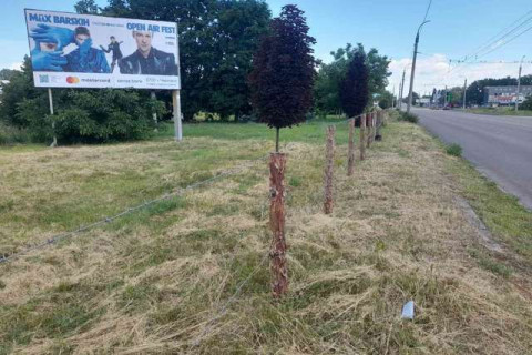 Билборд B в Черкассах, 3x6  Смілянська вул., 150 фото 1