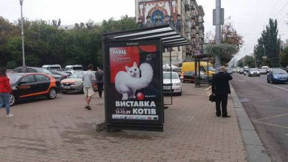 Беклайт B у Києві, 1.2x1.8  Велика Васильківська вул., 111 (Палац культури "Україна") - зуупинка гром. транспорту Фото 1