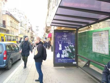 Бэклайт A в Львове, 1.2x1.8  Петра Дорошенко вул., (№2) фото 1