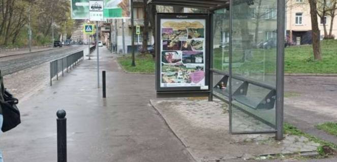 Нестандарт A в Львове, 1.2x1.8  Вітовського вул., парк Культури фото 1