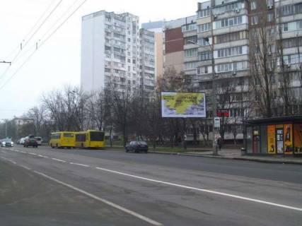 Билборд A в Васильевке, 3x6  Свободи просп., 6 фото 1