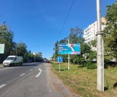 Білборд, Бігборд (Борд)  A у Бучі, 3x6  Київ - Ковель, 15км+950м (Нове шосе-Польова вул.) (Буча, Варшавська траса, у напрямку Бородянки) Фото 3