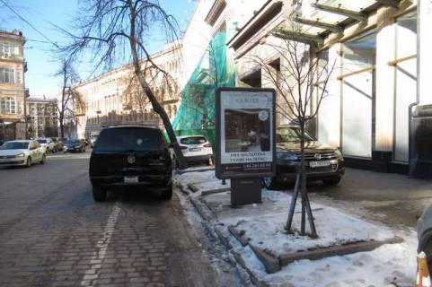 Сiтiлайт A у Василівці, 1.2x1.8  Архітектора Городецького вул., 9 Фото 1