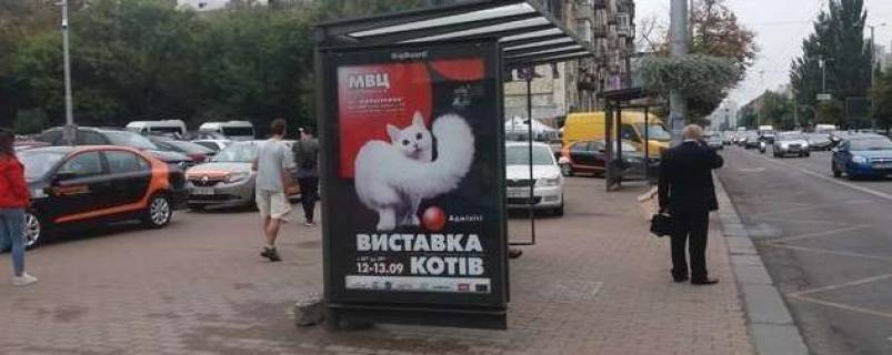 Нестандарт B у Києві, 1.2x1.8  Велика Васильківська вул., 111 (Палац культури "Україна") - зуупинка гром. транспорту Фото 1