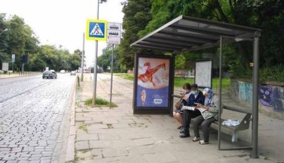 Нестандарт A в Львове, 1.2x1.8  Вітовського вул., 42 фото 1