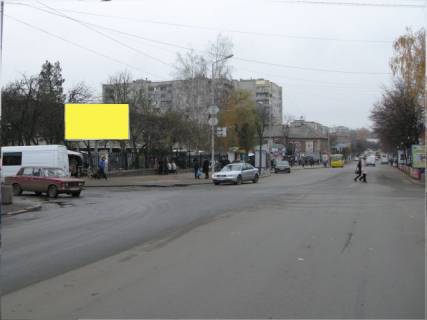 Билборд A в Бердичеве, 3x6  Житомирська вул., 13 (Килими) фото 1