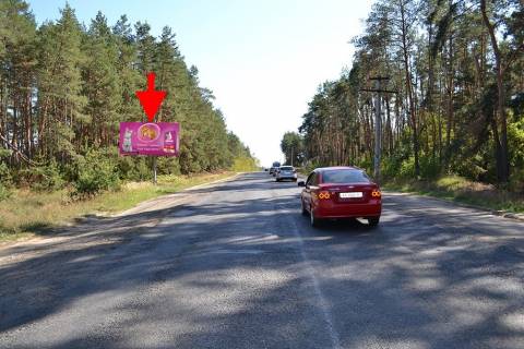 Білборд, Бігборд (Борд)  B у Харкові сел. Васищеве- в р-ні вул Промислова-біля Омега-(у бік Змієва) Фото 1